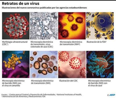 Científicos israelíes dicen que están a “pocas semanas” de la vacuna contra el Covid-19 - Nacionales - ABC Color