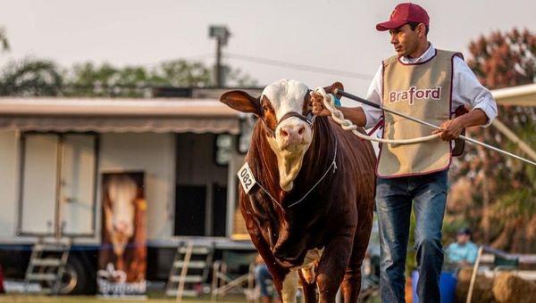 Estos son los eventos ganaderos frenados por el coronavirus