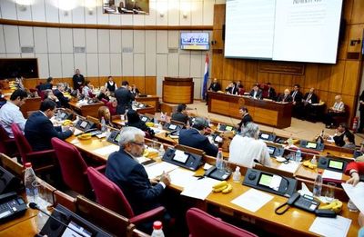 La Cámara Alta tendrá una sesión extra - Política - ABC Color