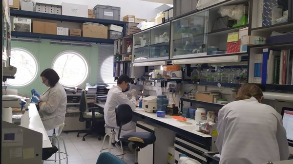 HOY / Científicos buscan vacuna contra el coronavirus