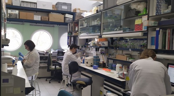 Científicos buscan vacuna contra el coronavirus