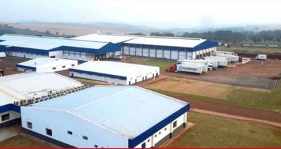 Grupo Marfrig muy cerca de llegar a Paraguay con la compra de FrigoNorte