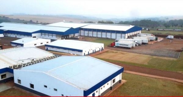 Grupo Marfrig muy cerca de llegar a Paraguay con la compra de FrigoNorte