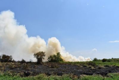 Incendio en zona de los humedales del Lago Ypacaraí - Nacionales - ABC Color