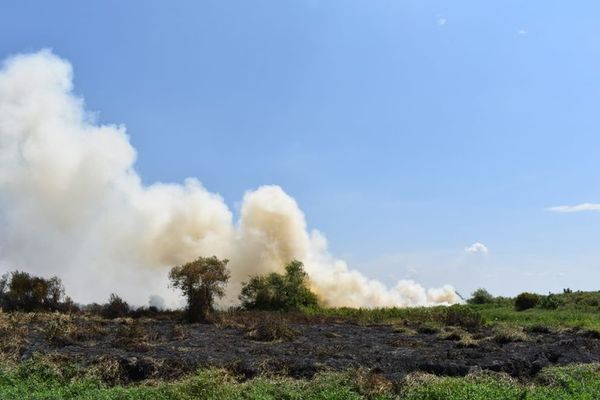 Incendio en zona de los humedales del Lago Ypacaraí - Nacionales - ABC Color
