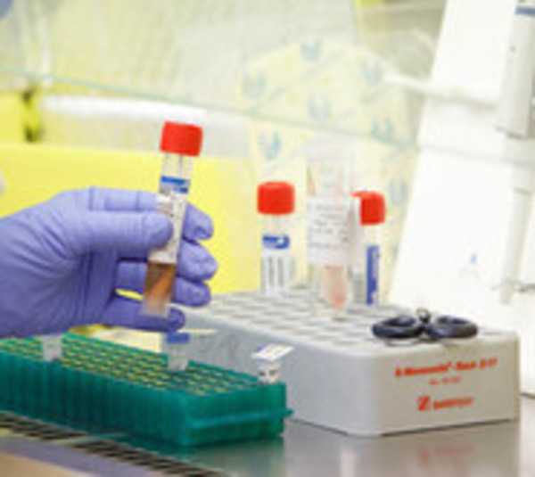 Confirman 4 casos de coronavirus en Uruguay - Paraguay.com
