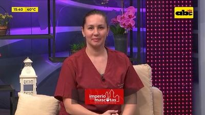 El coronavirus y nuestras mascotas - Ensiestados - ABC Color