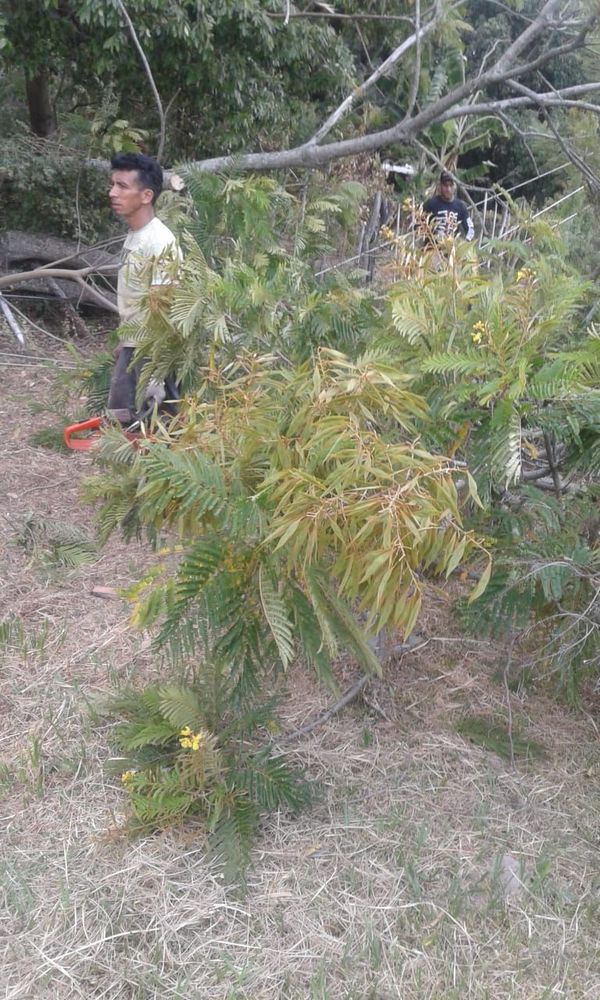 Joven muere electrocutado en Pirayú - Nacionales - ABC Color