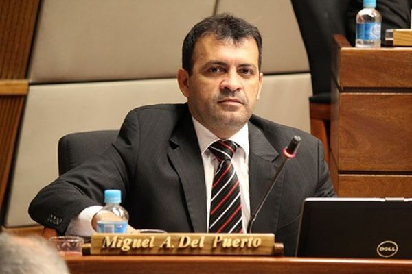 Diputado acusa que sectores del oficialismo dinamitan paz colorada: denuncia despidos en entes - ADN Paraguayo