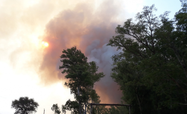 HOY / Incendio de gran magnitud afecta a zonas rurales en Pilar