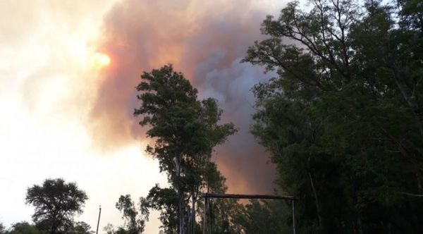 Incendio de gran magnitud afecta a zonas rurales en Pilar