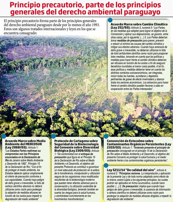 Acuerdo refuta la dicotomía entre cuidado del ambiente y el desarrollo económico - Económico - ABC Color