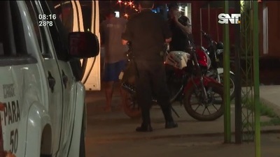 Carapeguá: Inadaptados atacaron a policías - SNT