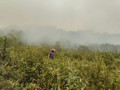 Clausuran eco vía a causa de grave incendio en la zona - Interior - ABC Color