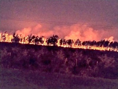 Bombero héroe murió peleando con el fuego | Crónica