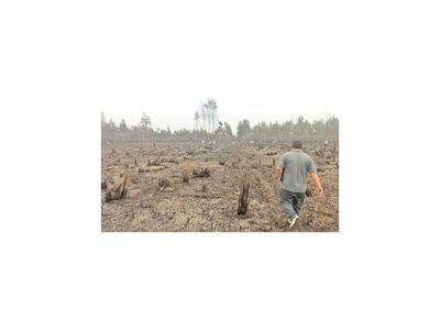 Incontrolable incendio forestal se cobra la vida de  bombero en Pilar