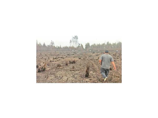 Incontrolable incendio forestal se cobra la vida de bombero en Pilar