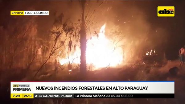 Nuevos incendios forestales en Alto Paraguay - ABC Noticias - ABC Color