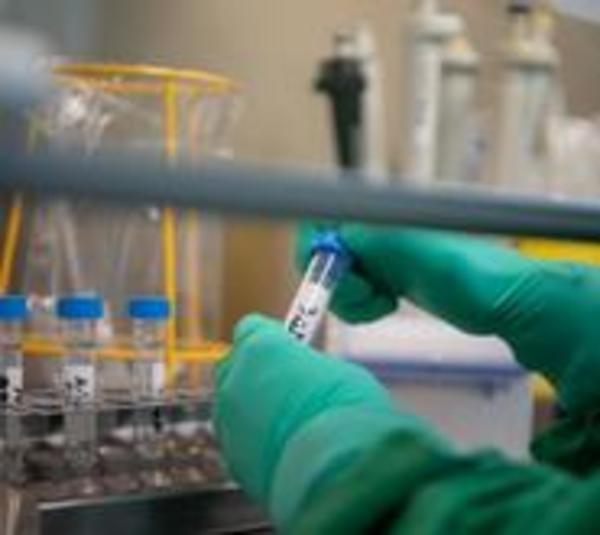 Amenazan a familia de paciente con coronavirus - Paraguay.com