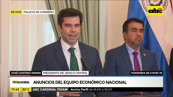 Anuncian nuevas medidas económicas para mitigar efectos del Covid 19 - Nacionales - ABC Color