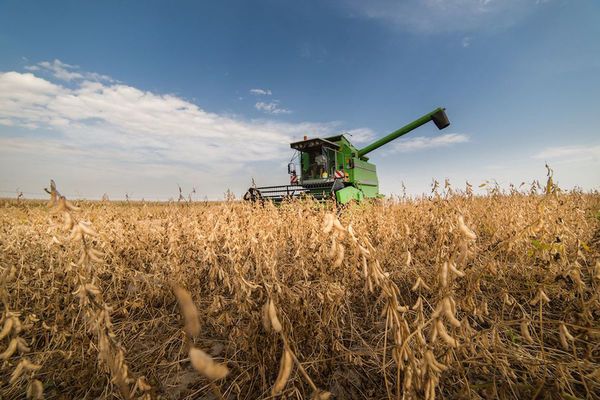 El retraso de la cosecha de soja derivó en la caída de los envíos