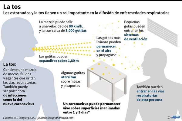 Prueba en humanos de vacuna contra covid-19 - Internacionales - ABC Color