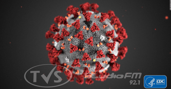 Descubren dos cepas del coronavirus