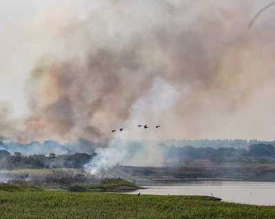 Articulan acciones para evitar propagación de incendios en pastizales | .::Agencia IP::.