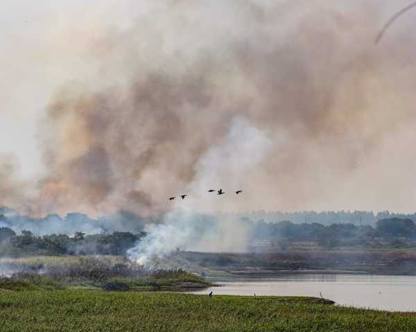 Articulan acciones para evitar propagación de incendios en pastizales | .::Agencia IP::.