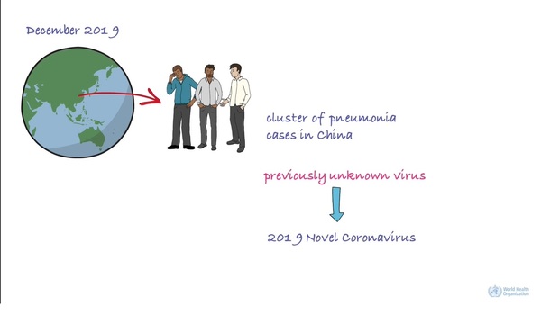 OMS abre un curso online y gratuito sobre el coronavirus - Paraguay Informa