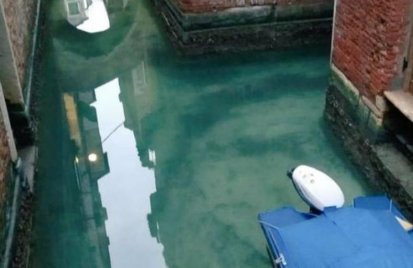 Canales de Venecia están completamente transparentes por la cuarentena del coronavirus - C9N