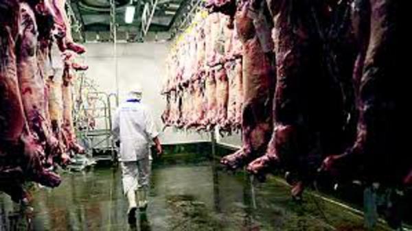 Exportaciones de carne a Israel se paralizan por tiempo indefinido