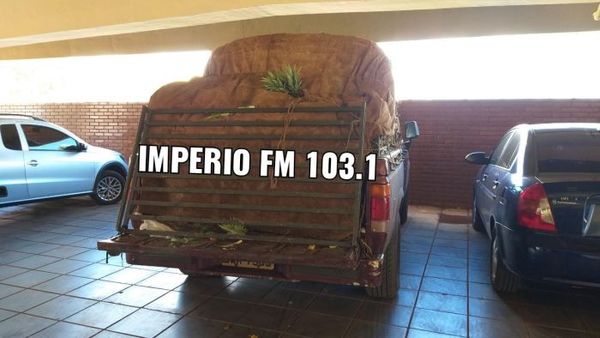 ¿Se fugó? ¿O lo liberaron?
