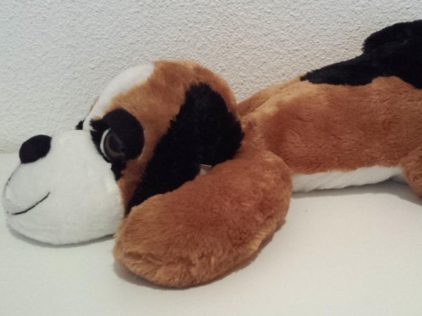 Saca a pasear un perro de peluche para eludir el confinamiento en España