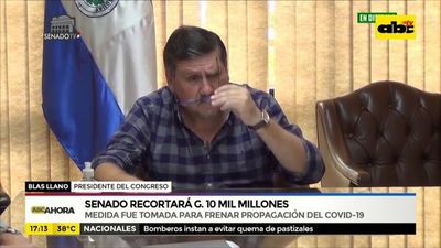 Senado recortará G. 10.000 millones y los redireccionará a Salud  - ABC Noticias - ABC Color