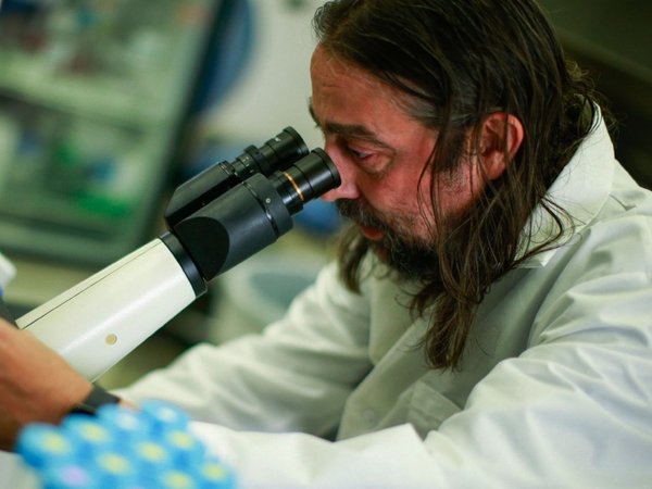 Carrera contra reloj para crear una vacuna contra el coronavirus