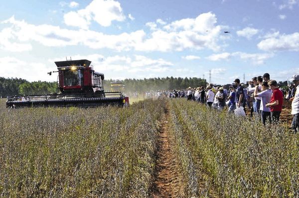 Feria Innovar, con fecha tentativa de realización - ABC Rural - ABC Color