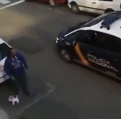 Paseó a un perro de peluche para evitar el encierro por covid-19 - Mascotas - ABC Color