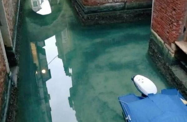Canales de Venecia están completamente transparentes por la cuarentena del coronavirus - SNT