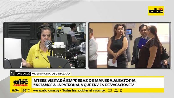 MTESS visitará empresas de manera aleatoria - ABC Noticias - ABC Color