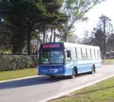 En Pilar transportes públicos ya no se podrán utilizar - Paraguay.com