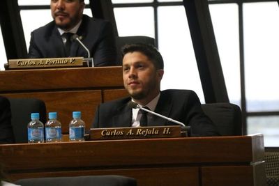 Diputado pide al Ejecutivo exoneración de tarifa de luz y agua, por 60 días