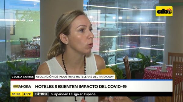 Asociación de hoteles expresa preocupación por ingreso de brasileños al país esta madrugada - Nacionales - ABC Color