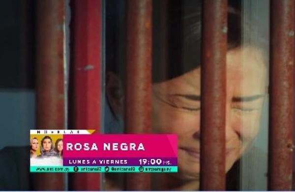 ¡Quédate hoy en casa y mirá Rosa Negra, está imperdible! - SNT