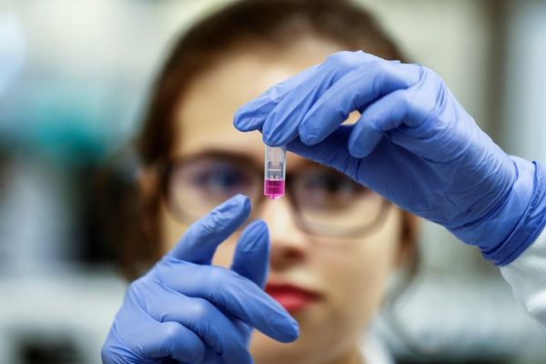 Contrarreloj por la vacuna contra el nuevo coronavirus... y por la patente - Ciencia - ABC Color
