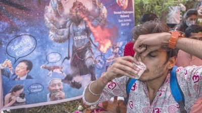 Toman orina de vaca para evitar virus vai | Crónica