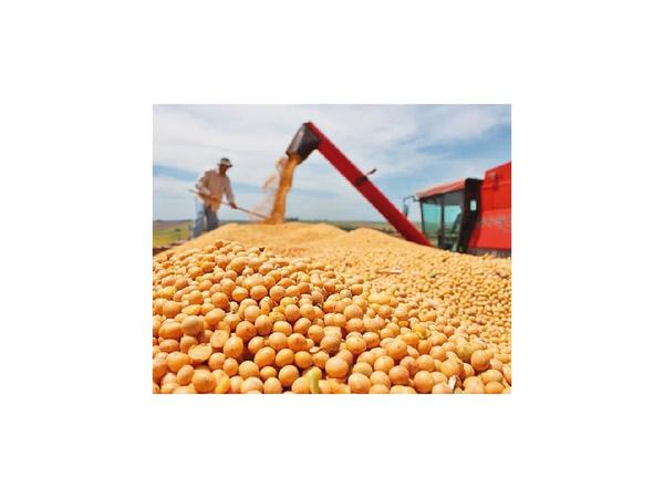 Soja y carne tienen difícil escenario a mediano plazo