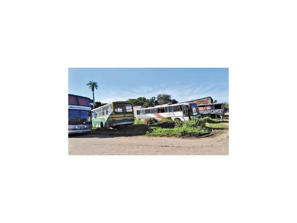 Pilar restringe la circulación del transporte público