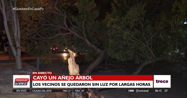Caída de frondoso árbol dejó sin luz a barrio de Asunción