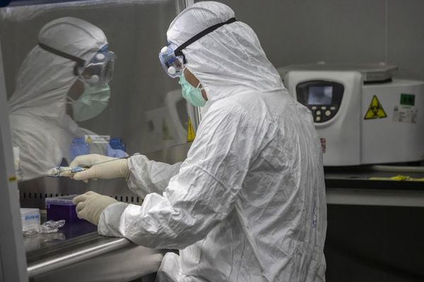 Ministerio de Salud anuncia que extenderá realización de test de coronavirus - Nacionales - ABC Color